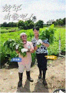 快乐大本营 蜂鸟影院综艺